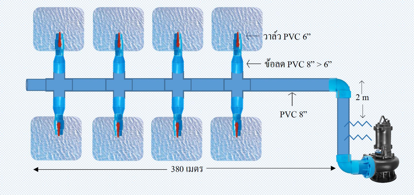 ฟาร์มกุ้ง–จังหวัดเพชรบุรี ฟาร์มกุ้ง–จังหวัดเพชรบุรี