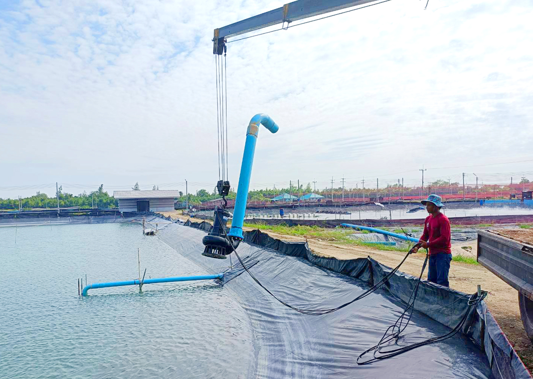 ฟาร์มกุ้ง–จังหวัดเพชรบุรี ฟาร์มกุ้ง–จังหวัดเพชรบุรี