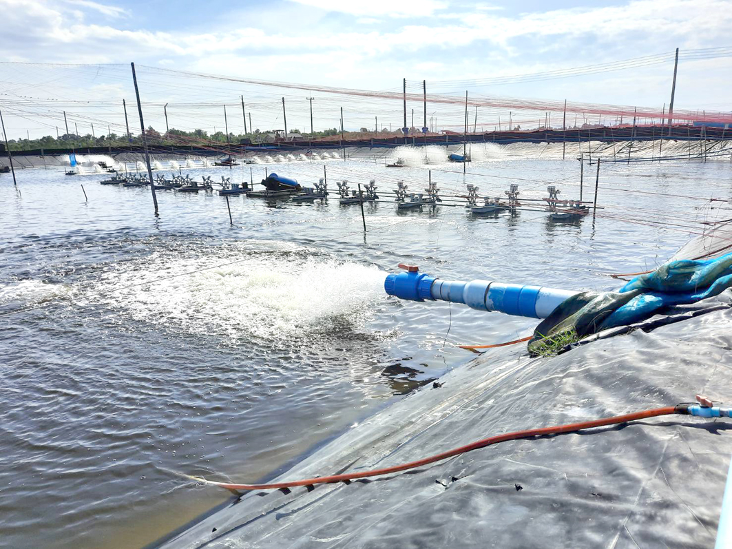 ฟาร์มกุ้ง–จังหวัดเพชรบุรี ฟาร์มกุ้ง–จังหวัดเพชรบุรี