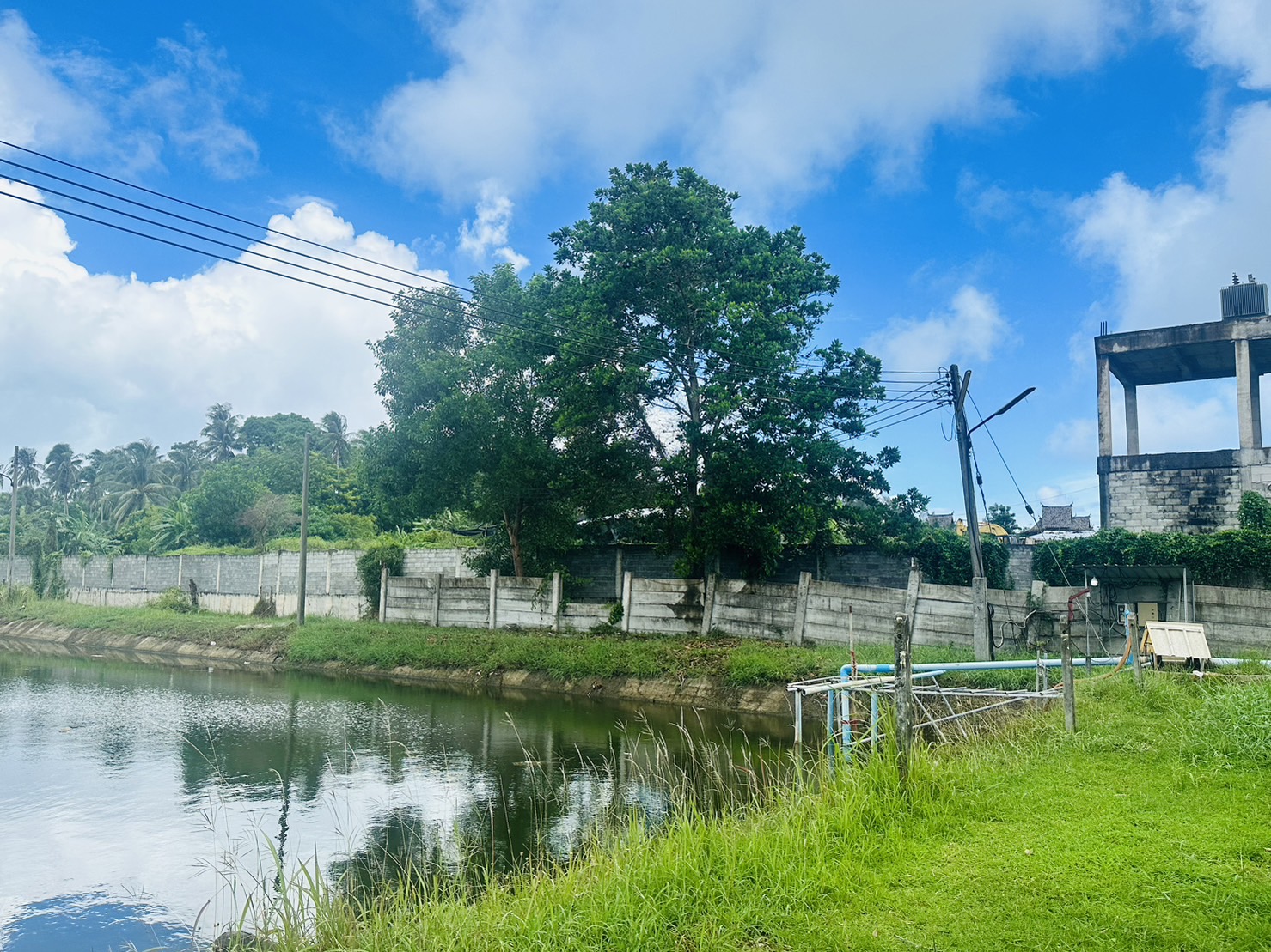 ฟาร์มกุ้ง – จังหวัดพังงา